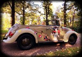 Image result for Delta Green 1968 Beetle