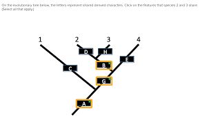 Ch 13 14 Diagram Quizlet