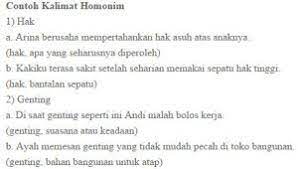 Contoh Kata Kalimat Homonim Perasaan