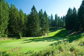 A Beautiful Summer For Golf Gold Mountain Golf Club