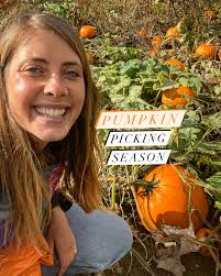 Profile for Alice Simons-Denville