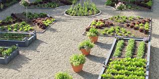 Plan your own kitchen garden and find out how to plant and grow fruit and vegetables successfully with our expert advice. Vegetable Garden Design Ideas Landscaping Network