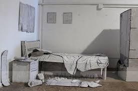 Karton Yuva Dekorasyon Ev Dekorasyonu Evler