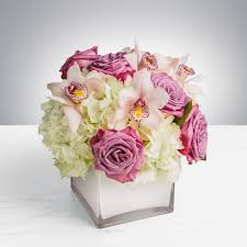 Maybe you would like to learn more about one of these? Pop Of Lavender By Bloomnation In West Palm Beach Fl Camile S Flowers And Gifts
