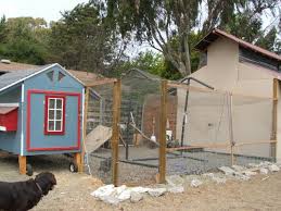 This is an american inspired placeable chickencoop for farming simulator 19. American Canyon Coop Backyard Chickens Learn How To Raise Chickens