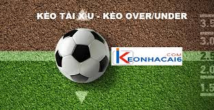 Tôn chỉ hoạt động website trực tiếp bóng đá ibongda1.com. Keo Tai Xá»‰u Tá»· Lá»‡ Over Under Keo Tren DÆ°á»›i Hom Nay