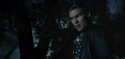They can be classified as an alpha, beta or omega with the respective eye color. Lowenmensch Teenwolf Next Generation Wikia Fandom