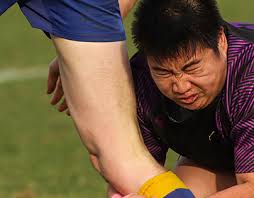 A. A. Milne Projects :: Photos, videos, logos, illustrations and branding  :: Behance