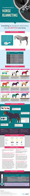58 Best How To Images In 2016 Horse Information Horses