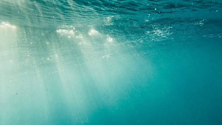 Underwater solar panels developed by scientists in China