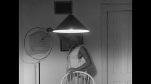 music we're at the crystal bridges museum of american art looking at a photographic print by carrie mae weems the photograph is known as untitled but parenthetically woman feeding bird this print is part of carrie moons is iconic kitchen table series with series that she started in 1989 and finished in 1990 that looks at a woman that has centered around the kitchen table the kitchen is such. Carrie Mae Weems Kitchen Table Series Smarthistory