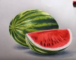 Vintage black and white hand drawing. Realistic Watermelon Drawing Archives How To Draw Step By Step
