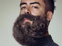 Beards shaped like animals trend 📸 by Troy Goodall Photography  https://www.instagram.com/artdaily_official/