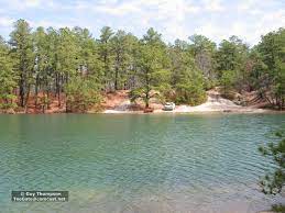 Hidden Lakes In Nj Pine Barrens Njpb Forums Lakes In Nj Wharton State Forest Lake