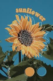 Sunflower Aesthetic Yellow Blue Nature Drawing Picsart Instagram Zoledits Yellow Aesthetic Pastel Sunflower Wallpaper Pastel Aesthetic