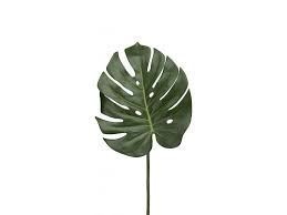 Umělá květina - Monstera list - ANIMADECOR