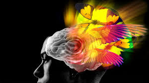 With all the shows that get pulled from that great streaming canon in the sky (cloud?), they're replaced with a new stock. Psychedelic Drugs And The Future Of Mental Health Care Vox