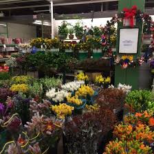 On the south by 23rd street; Riccardi Wholesale Flowers Llc Posts Facebook