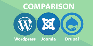 Choosing the right cms can be a difficult hopefully the tips above will help you make a better cms decision. Custom Software Development Services Wadic Net