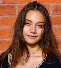 SVPA's Holiday Fundraiser