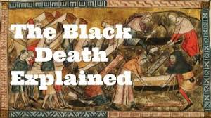 Look at this this way, the whole story of europe between 14th to the late 17th century was constantly marked by the plague. What Was The Black Death Medievalists Net