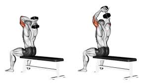 Hat so ein kleines trizeps workout. Welche Der 3 Trizeps Ubungen Ist Die Beste Im Bild Sport Sport Und Fitness Fitness