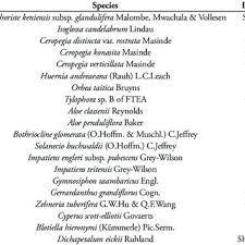 Image result for Bothriocline glomerata