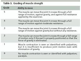 manual muscle testing grading scale muscle power muscle