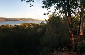 Find unique places to stay with local hosts in 191 countries. Lower Bayview Campground Clear Lake Ca 2 Hipcamper Reviews And 10 Photos