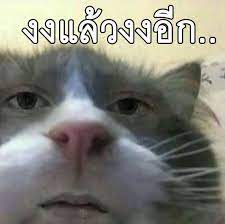 คอร์ส97 สอนออนไลน์ 5 วัน 5 คอร์ส จบครบรู้เรื่องเลย à¹€à¹€à¸¡à¸§à¹€à¹€à¸ªà¸™à¸£ à¹€à¸£ à¸¢à¸™à¸­à¸­à¸™à¹„à¸¥à¸™