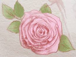 We did not find results for: 1001 Idee Per Come Disegnare Una Rosa Con Tutorial
