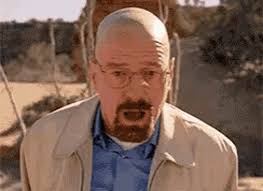 Walter White Walter GIF