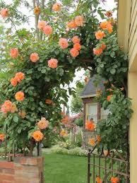 Yellowrose543 Http Weheartit Com Entry 211339729 Beaux Jardins Deco Jardin Jardin Romantique