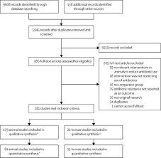 Restricting The Use Of Antibiotics In Food Producing Animals