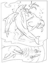 Sea Animals Coloring Pages Dolphin Coloring Pages Animal Coloring Pages Zoo Animal Coloring Pages