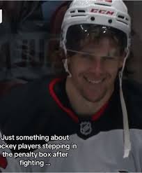 Penalty Box Moments: Erik Haula and Hockey Players