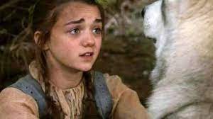 Let's follow arya stark ( maisie williams ) through her arc over seven seasons of game of thrones , shall we? Arya Stark Game Of Thrones Wiki Fandom