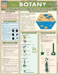 Botany Examville Plant Study Horticulture Education Botany