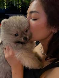 900+개의 Faye malisorn 아이디어