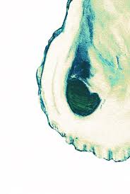 Oyster Shell Art Oyster Art Prints Oyster Prints Kitchen Art Prints Minimal Oyster Paintings Abstract Oyst Animal Drawings Minimal Drawings Beach Wall Art