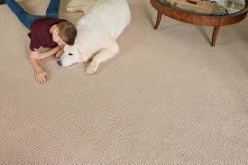Click to see full answer. Stainmaster To Sponsor Akc Tv Events Floor Covering News