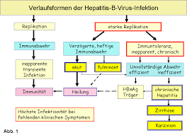 Nachweis von virusgenom im blut weist aktive infektion nach. Https Www Uniklinik Freiburg De Fileadmin Mediapool 08 Institute Virologie Pdf Diagnostik Hepatitis Offenburg2012 Pdf