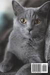 Find British Shorthair Kittens For Sale by Reputable Breeders