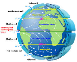 Trade Winds Wikipedia