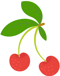 Cherry, cherry blossoms, flower png. Cherry Clipart Free Download Transparent Png Creazilla