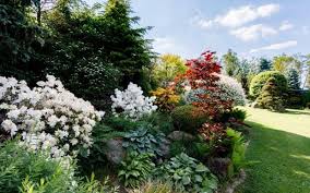 It thrives best in zones 3 to 10. Shade Loving Perennials 25 Best Perennial Flowers For Shade