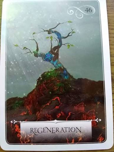Regeneration: It's a lottery 🔥