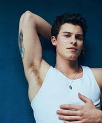 Cosita Preciosa Shawn Mendes Chicos Guapos Famosos Shawn Mendes Fotos