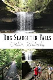 We have reviews of the best places to see in corbin. Dog Slaughter Falls Corbin Ky Hobbies On A Budget