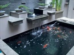 Yang pertama adalah kolam kecil di depannya teras di halaman depan rumah, berukuran 3 x 1 meter2 ujung ujung kolam yang berbentuk siku diberi istilah titik mati, tidak ada arus, kurang oksigen, dan berbahaya untuk ikan koi karena sering. Kolam Ikan Koi Mywebsite Amirah D49796